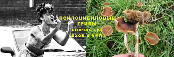 кокс Аркадак