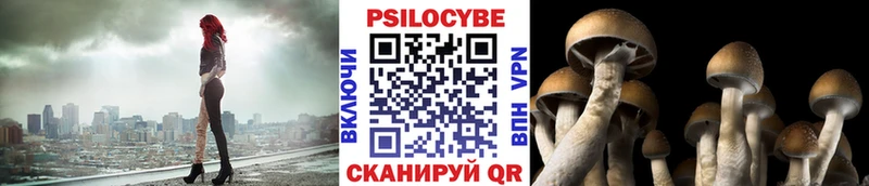 Псилоцибиновые грибы мицелий  Купить  Нижний Ломов 